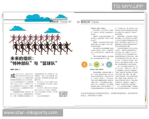 南京篮球队实力解析聚焦球队发展与未来前景