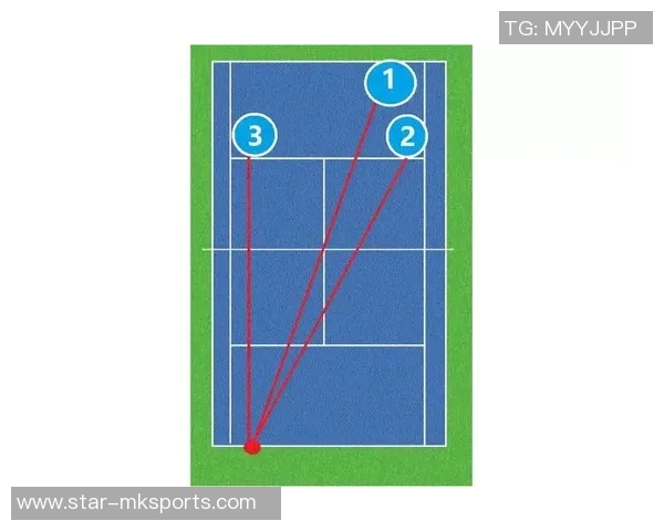 体育实时数据西安网球队反击战术分析与比赛得失总结
